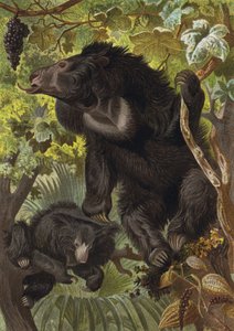 læbestang af European School